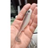 Unbranded Custom 4" Silver Mullet Swim Bait Soft Plastic Fishing