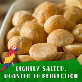 Curious Bird Macadamia Nuts – Dry Roasted with Sea Salt | Bite Sized Healthy Snack | 8oz Resealable Bag (Pack of 1)