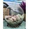 Nautical Marine Sea Shells Glass Globe Ball On Silver Coral
