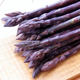 Purple Passion Asparagus Plants Crowns Roots Bare Root 50 Ea