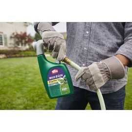 Ortho Weed B Gon Weed Killer for St. Augustinegrass Ready-To-Spray, 32 oz