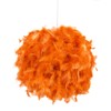 Eye-Catching and Modern Real Natural Vibrant Orange Feather Decorated Small