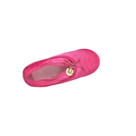 PWQEIONC Ballet Shoe Pink Makeup Bag red