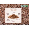 Puregro Whole Linseed 300g (PACK OF 1)| Brown Linseed |
