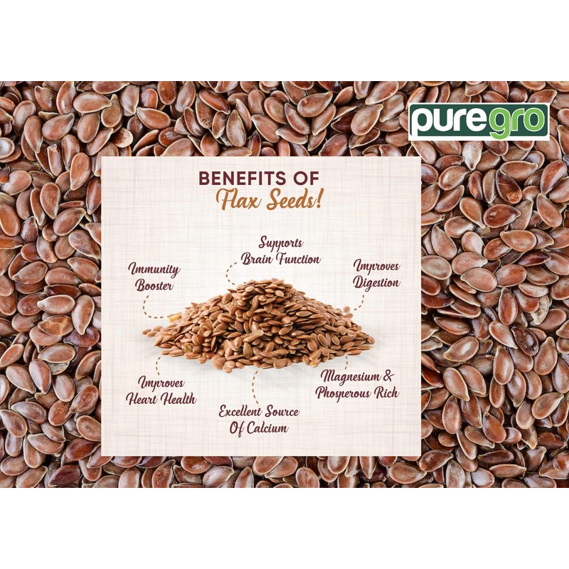 Puregro Whole Linseed 300g (PACK OF 1)| Brown Linseed |