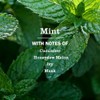 Mrs. Meyers Jabn para Trastes Menta 473 ml Dish Soap