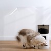 COSNIGHT Kitchen Backsplash Wall Protector Clear Kitchen Oil Proof Contact