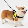Tre Ponti Primo Primo Dog Harness Large Dog Made in