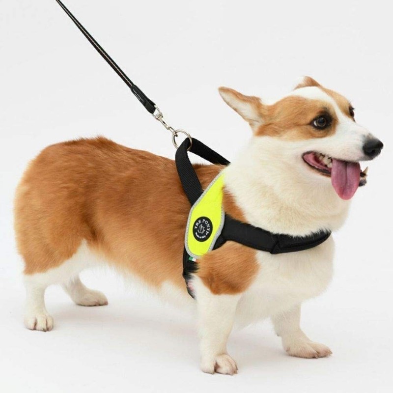Tre Ponti Primo Primo Dog Harness Large Dog Made in