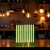 Junfamilee 10Pcs Green Edison Bulb LED Filament Lamp Parts DC3V