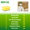 DimBull Biodegradable Natural Cleaning Sponge - Compostable Cellulose & Coconut