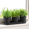 MoFarbe Herb Pots for Kitchen & Windowsill | Kitchen Herb