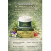 Crema Herbal Tratamiento Acné, Control Grasa, Minimiza Poros