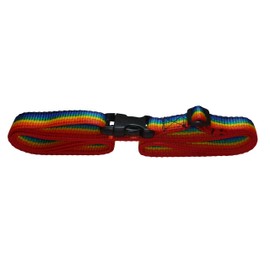 Benristraps 25mm Strap with Quick Release Buckle and Length Adjuster (1 metre, rainbow colours)