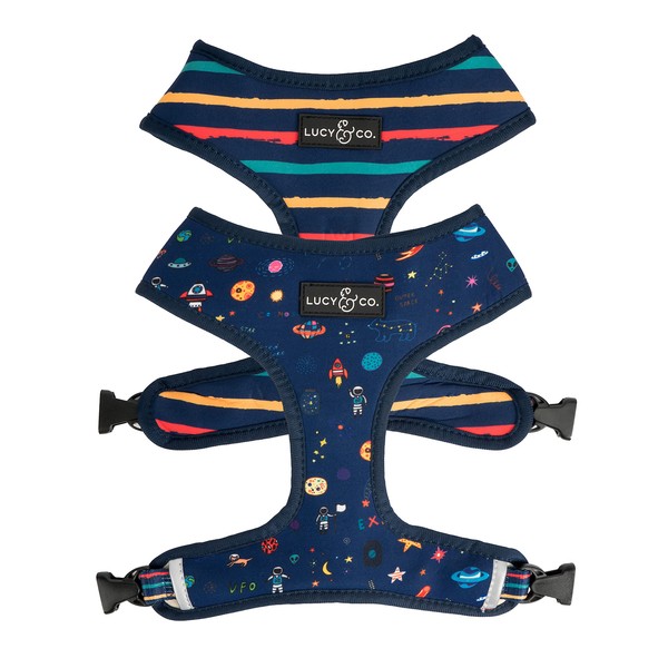 Lucy & Co. Space Doodle, Cute Reversible Dog Harness Walking