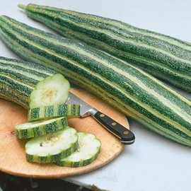 Armenian Striped Cucumber Seeds - 3 g Packet ~90 Seeds - Non-GMO, Heirloom - Vegetable Garden - Cucumis melo