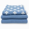 Ecovask Dish Cloth 3pc Variety Pack Organic Cotton, Pool Party