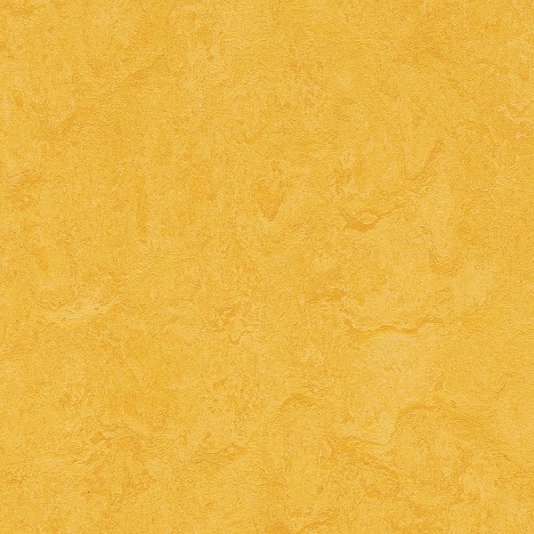 Forbo Marmoleum Click Cinch LOC Seal 933251 Lemon Zest 12"