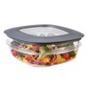 Rubbermaid Premier Easy Find Lids Meal Prep and Food Storage