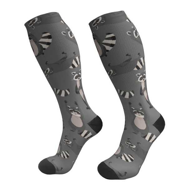Cute Raccoon Grey Compression Socks Women And Men For Nurses