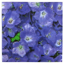 Iconikal 75-Count Disposable Paper Party Napkins Violets 6.5x6.5-Inch 2-Ply Purple Flower Design Birthday Garden Party Decor Bulk Pack