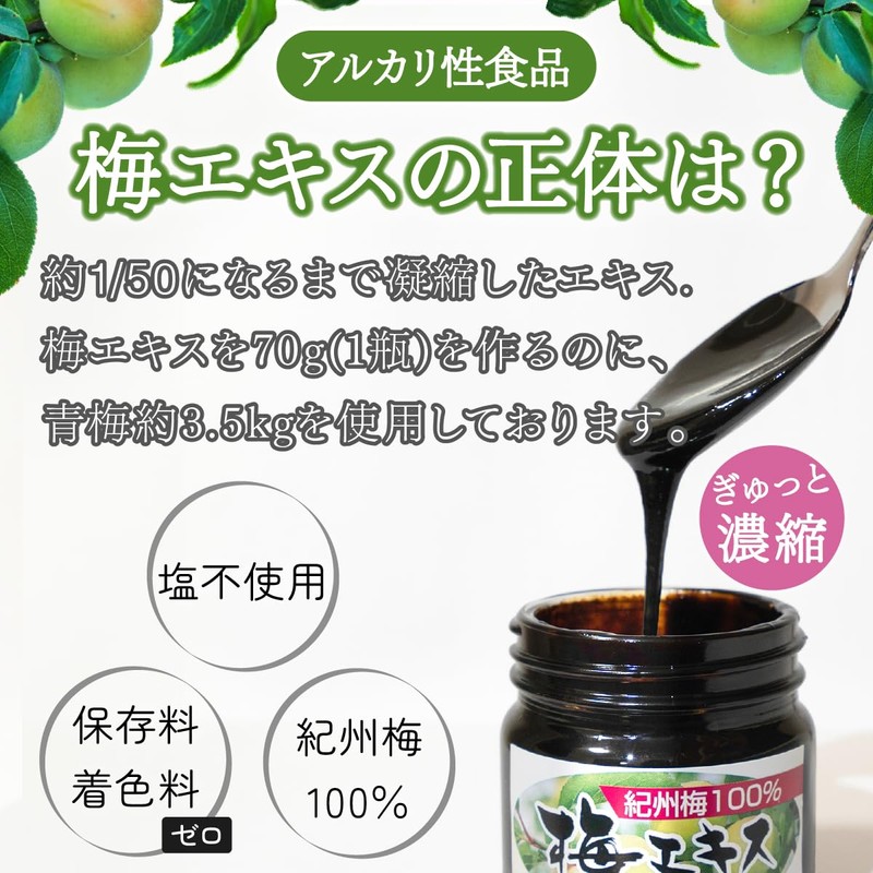 Plum Extract, 2.5 oz (70 g) (1 piece), Plum Meat