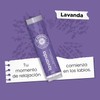 DR. AKERMAN'S NATURALS, Bálsamo Labial Natural Humectante, Pack de 5