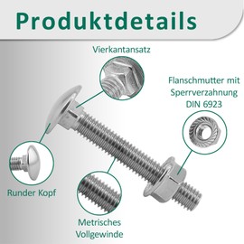 DSM - Carriage Bolts M6 x 40 mm DIN 603 - M6 Flange Nut with Locking Toothing DIN 6923 - A2/V2A Stainless Steel - Round Head Square Head Screws - Hex Nut with Flange - Pack of 25