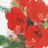 20 Small Cocktail Napkins Red Amaryllis Leaves Flowers Christmas Winter