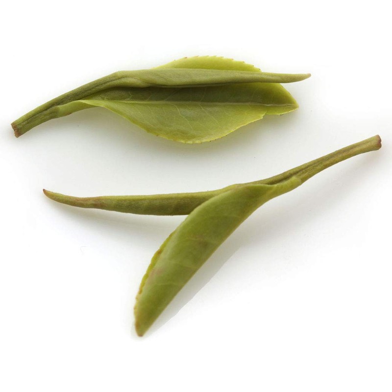 GOARTEA Mao Feng Green Tea 50g / 1.76oz Supreme Grade
