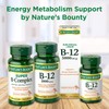 Nature's Bounty Vitamin B12, Supports Energy Metabolism and Nervous System