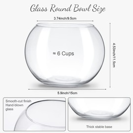 Clear Bowl Glass Vase Bubble Glass Round Vase Clear Bubble Planter Terrarium Fish Bowl Vase for Wedding Event Home Decor Flowers Fish(6 Pcs,4.5 x 3.7 x 5.9 Inch)