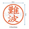 Shachihata Stamp Name 6 Correction Stamp XL-6 Stamp Face 0.2