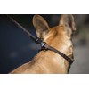 GOLEYGO Rope Dog Lead, Black, Reflects Luminous, Size M 1.4-2