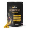 Biorevive Berberine Supplement High Strength 9000mg Equivalent per Serving, Berberine