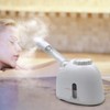 Facial Steamer Nanometer Fine Mist for Deep Cleaning with Towel,