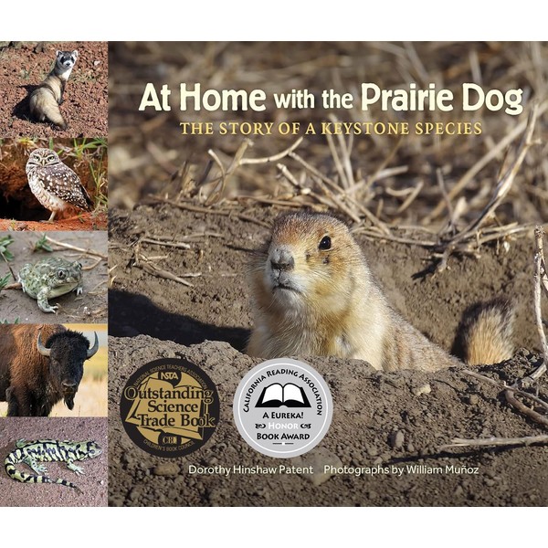 At Home with the Prairie Dog: The Story of a