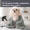 Lashuma Absorbent Guest Towel Grey Stone London Fluffy Terry Towel