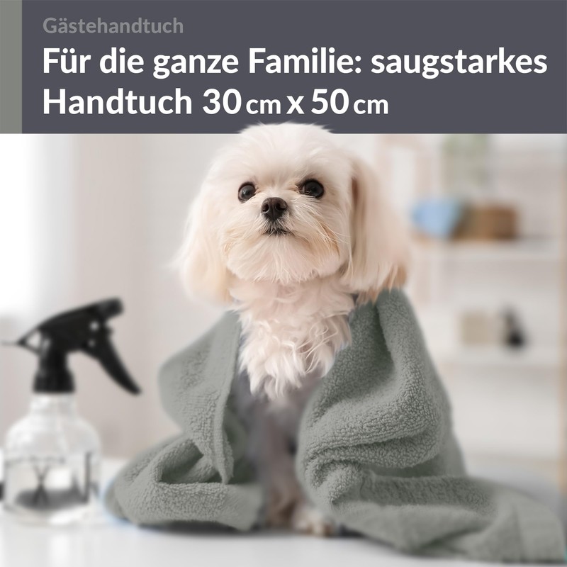 Lashuma Absorbent Guest Towel Grey Stone London Fluffy Terry Towel