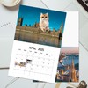 Giant Cats Calendar 2025, Giant City Cat Calendar 2025, Giant