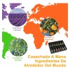 Kit De 14 Aceites Esenciales Aromaterapia 100% Puro 10ml Spa