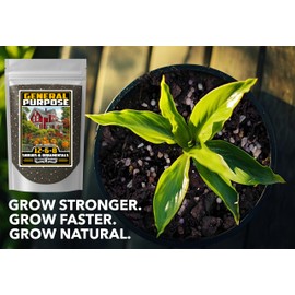 Fertilizer Commercial Grade | 12-6-8 General Purpose | 3 Pounds | Shrub, Tree & Ornamental | Fast Release 60 Day, Macronutrient & Micronutrient Pro-Mix Formula for Plants