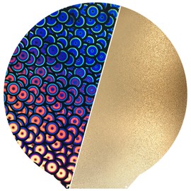 Upgraded Round 120mm in Diameter Flexible Spring Steel Build Plate Double Sided PEK PEI Sheet for Monoprice Mini Delta v2 3D Printer