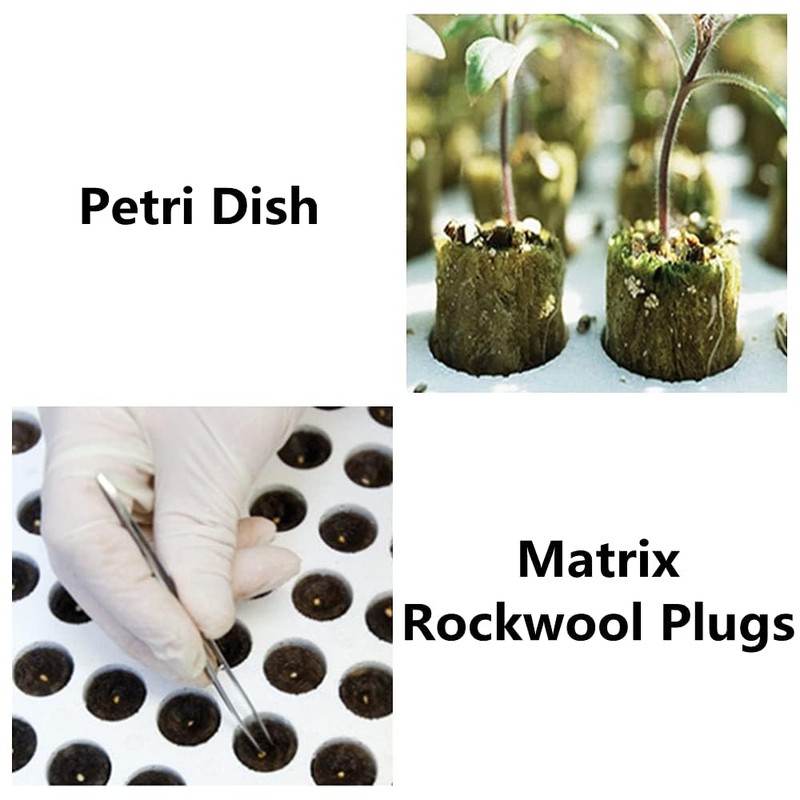 20 Pcs Rockwool Starter Plugs Hydroponic Seedling Blocks Soilless Cultivation