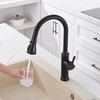 Kitchen Faucet Spray Head Replacement - Pull Down Faucet Sprayer