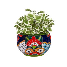 Evergreen Garden Talavera Mexican Pottery Ceramic Green Detailed Baul | Flower Pot Plant Succulent | Indoor Outdoor (9 inch)