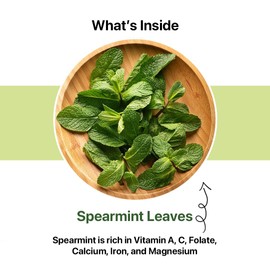 BLUE TEA - Spearmint Tea - 100 Count - Pyramid Plant Based Tea Bag | PCOS RELIEF | Balances Hormones - Support Digestion | Refreshing Flavour - Herbal Tea - Leaf Based - Caffeine free | Ziplock Pouch