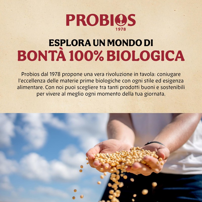 Probios Miso Di Riso Bio - Miso Non Pastorizzato -
