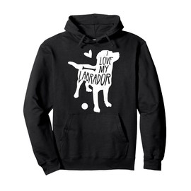 Labrador Retriever Lover Black Lab Gift design Fetch gift Pullover Hoodie
