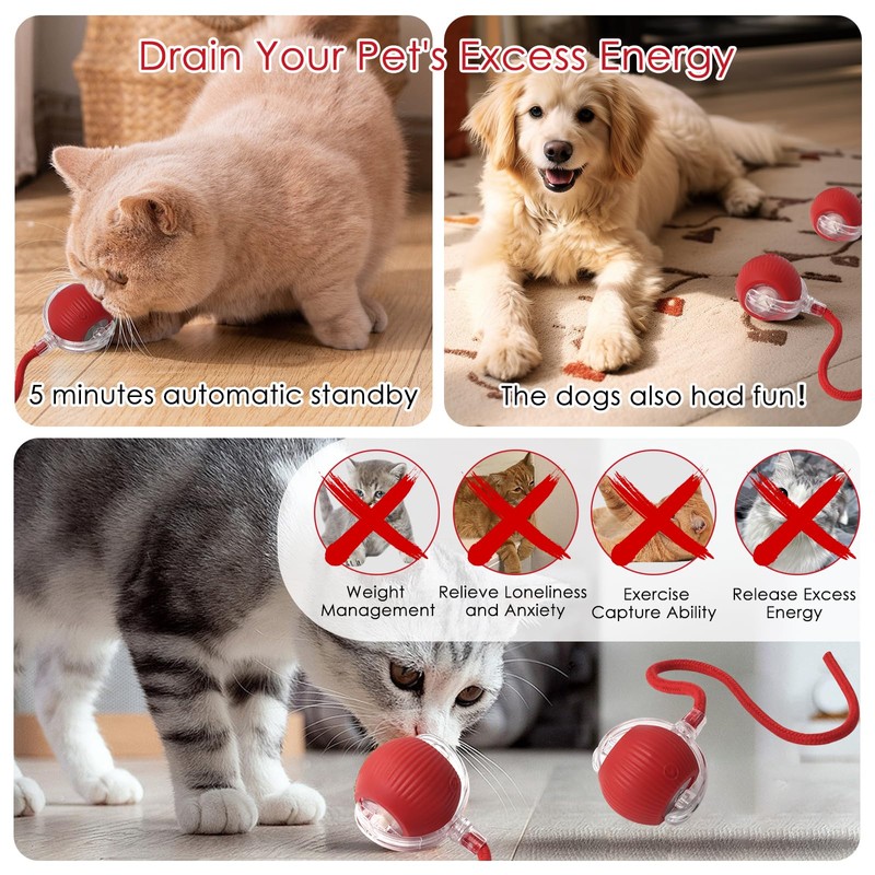 Interactive Cat Toy Cat Ball Electric Charging via USB Magic